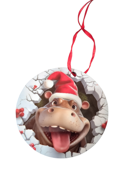 3D Hippo