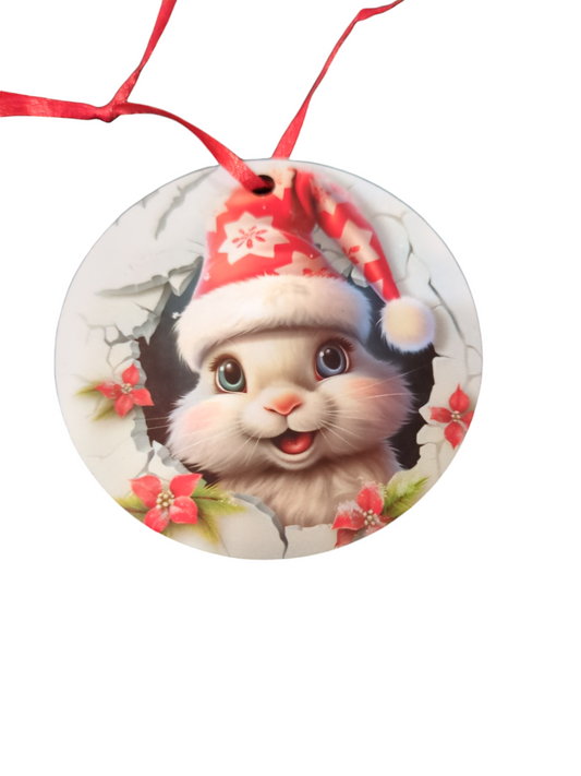 3D Rabbit